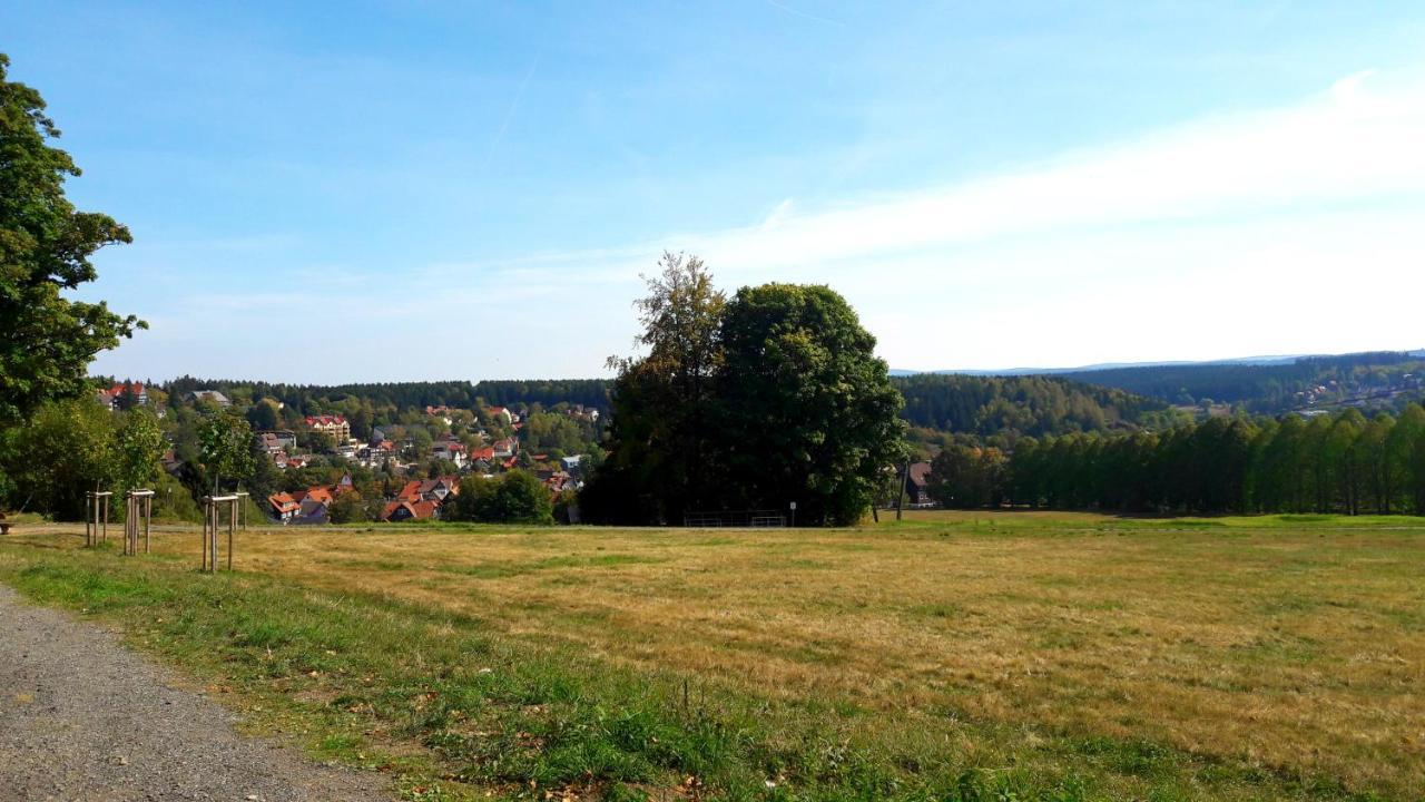 Hotel Garni Am Hochwald ブラウンラーゲ エクステリア 写真