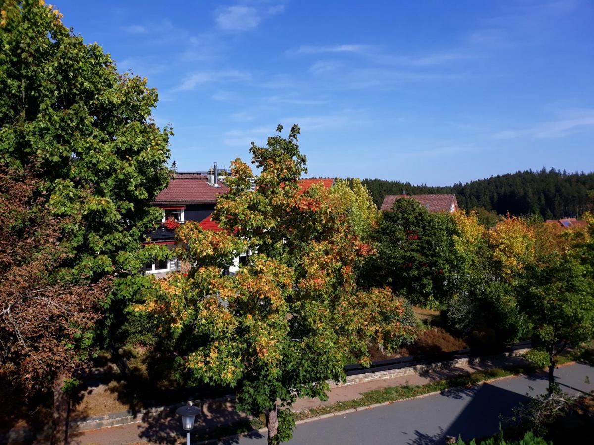 Hotel Garni Am Hochwald ブラウンラーゲ エクステリア 写真